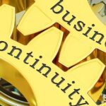 Two intertwining cogs - one saying Business, the other saying Continuity